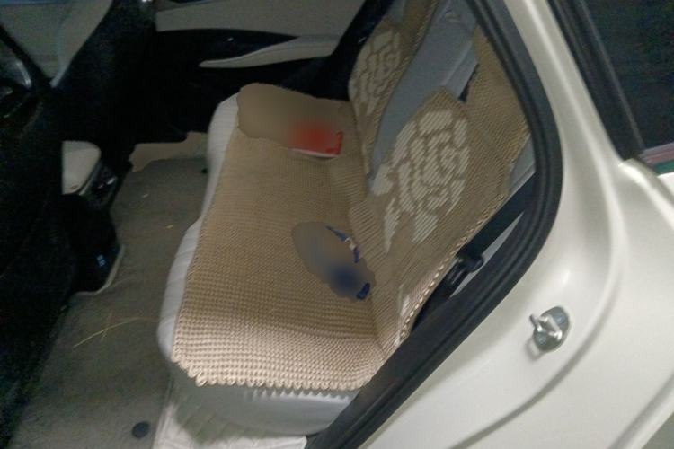 Used BYD Seal 06 New Energy 2024 DM-i 120KM Flagship Model Left Rear Seat