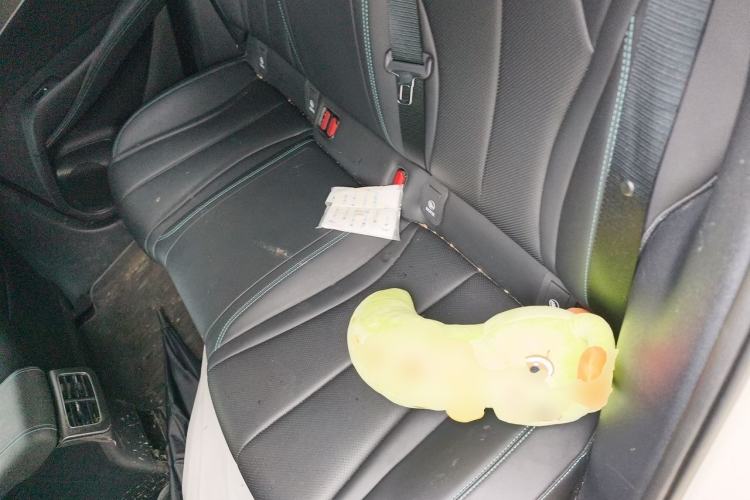 Used BYD Seal 06 New Energy 2024 DM-i 120KM Prestige Model Left Rear Seat