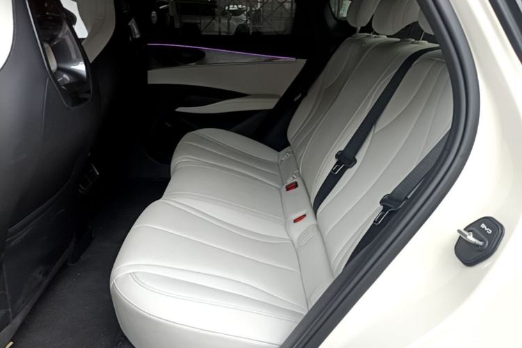 Used BYD Seal 06 New Energy 2024 DM-i 80KM Luxury Model Left Rear Seat
