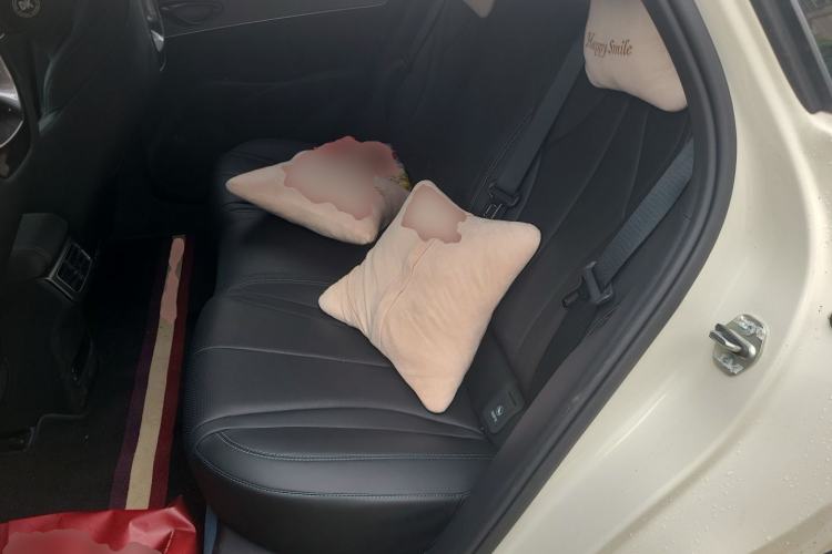 Used BYD Seal 06 New Energy 2024 DM-i 80KM Prestige Model Left Rear Seat