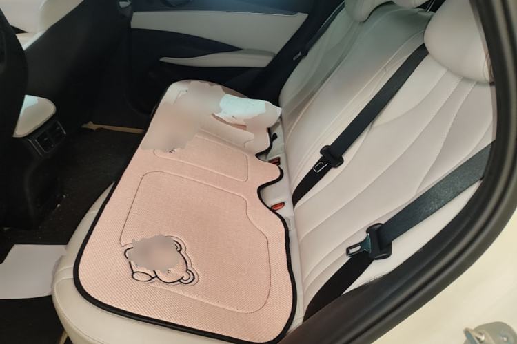Used BYD Seal 06 New Energy 2024 DM-i 80KM Luxury Model Left Rear Seat