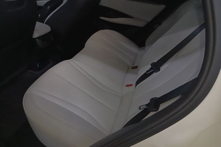 Used BYD Seal 06 New Energy 2024 DM-i 80KM Prestige Model Left Rear Seat