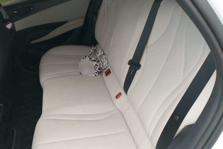 Used BYD Seal 06 New Energy 2024 DM-i 80KM Luxury Model Left Rear Seat