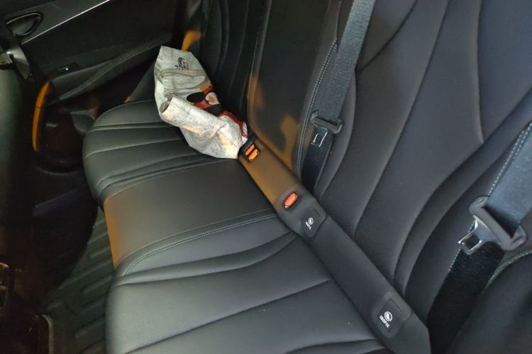 Used BYD Seal 06 New Energy 2024 DM-i 80KM Prestige Model Left Rear Seat