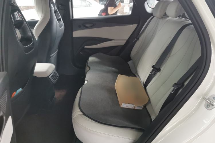 Used BYD Seal 06 New Energy 2024 DM-i 80KM Luxury Model Left Rear Seat