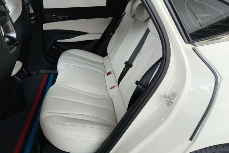 Used BYD Seal 06 New Energy 2024 DM-i 80KM Luxury Model Left Rear Seat