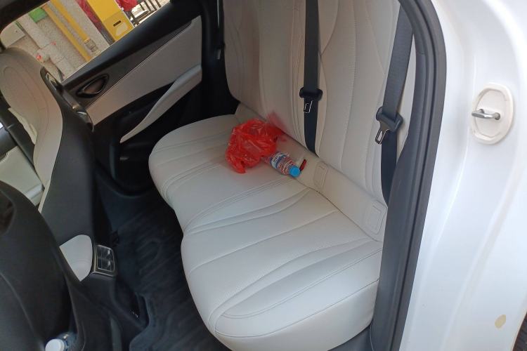 Used BYD Seal 06 New Energy 2024 DM-i 80KM Prestige Model Left Rear Seat