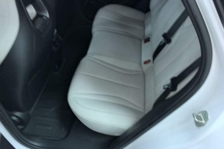 Used BYD Seal 06 New Energy 2024 DM-i 80KM Luxury Model Left Rear Seat