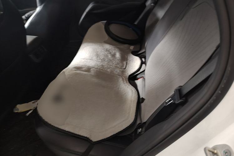 Used BYD Seal 06 New Energy 2024 DM-i 80KM Prestige Model Left Rear Seat