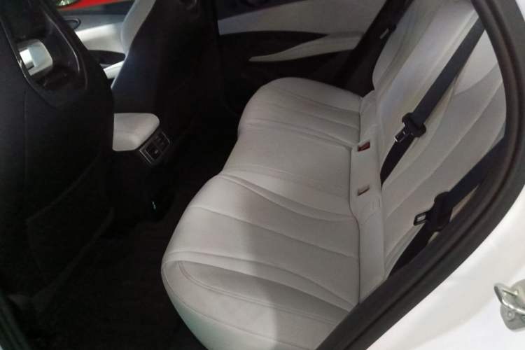 Used BYD Seal 06 New Energy 2024 DM-i 120KM Luxury Model Left Rear Seat