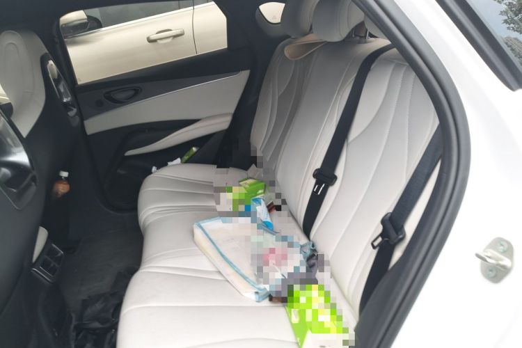 Used BYD Seal 06 New Energy 2024 DM-i 80KM Luxury Model Left Rear Seat