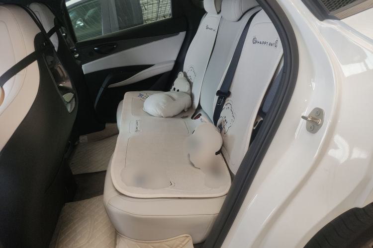 Used BYD Seal 06 New Energy 2024 DM-i 80KM Prestige Model Left Rear Seat