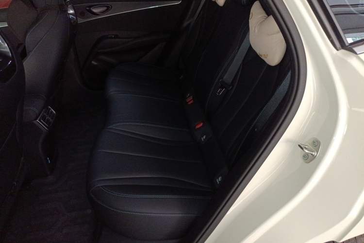 Used BYD Seal 06 New Energy 2024 DM-i 120KM Prestige Model Left Rear Seat