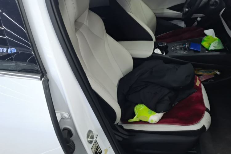 Used BYD Seal 06 New Energy 2024 DM-i 80KM Luxury Model Right Front Seat