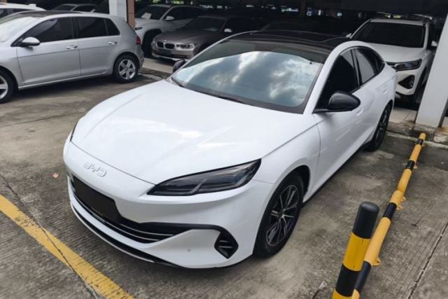 BYD Seal 06 New Energy 2024 DM-i 120KM Prestige Model usata