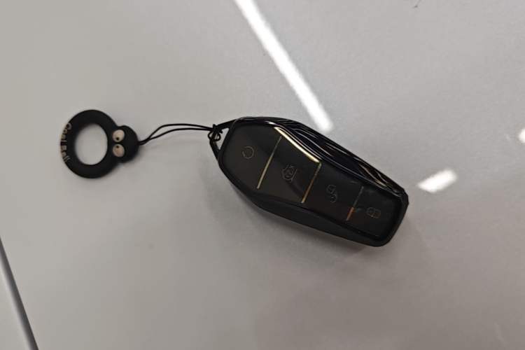 Used BYD Seal 06 New Energy 2024 DM-i 120KM Luxury Model Vehicle Key