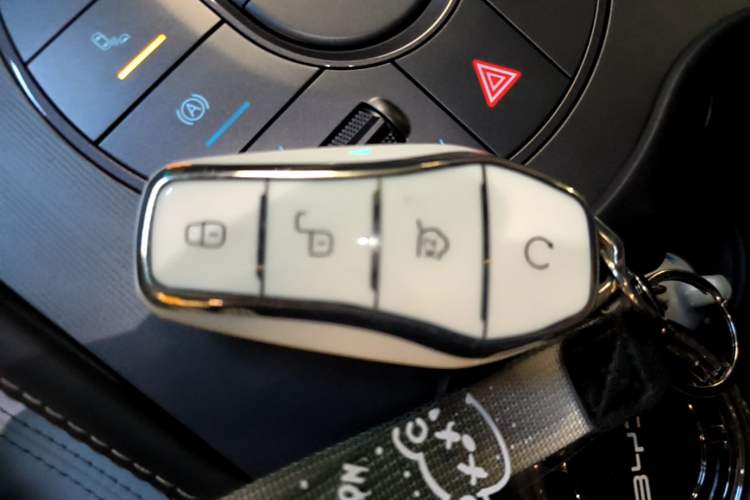 Used BYD Seal 06 New Energy 2024 DM-i 120KM Flagship Model Vehicle Key