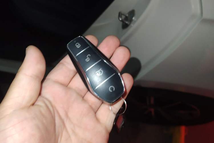 Used BYD Seal 06 New Energy 2024 DM-i 80KM Prestige Model Vehicle Key