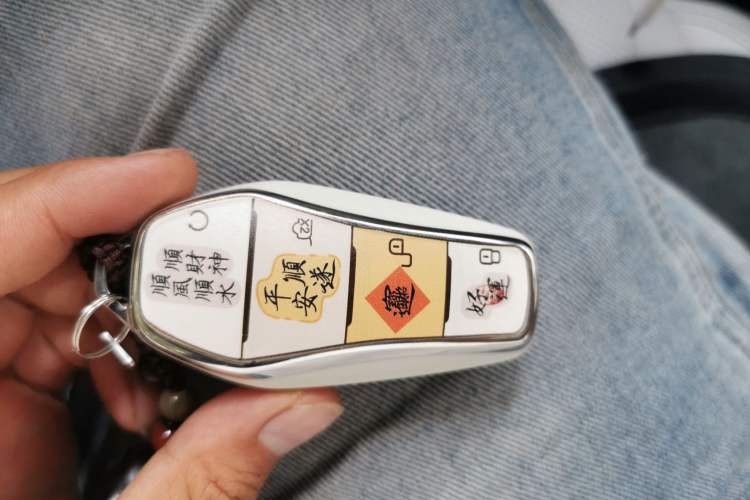 Used BYD Seal 06 New Energy 2024 DM-i 80KM Luxury Model Vehicle Key