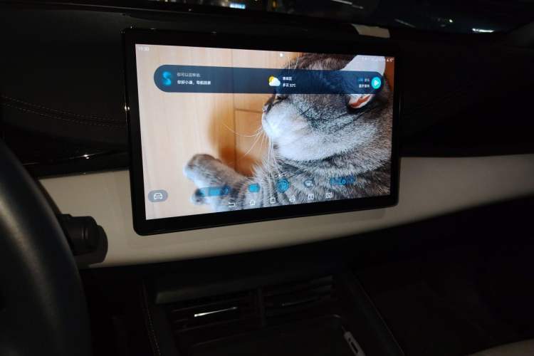 Used BYD Seal 06 New Energy 2024 DM-i 120KM Prestige Model Audio And AC Panel