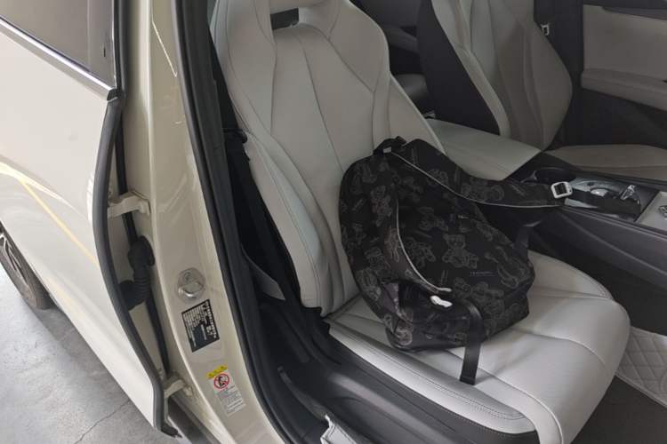 Used BYD Seal 06 New Energy 2024 DM-i 120KM Prestige Model Right Front Seat