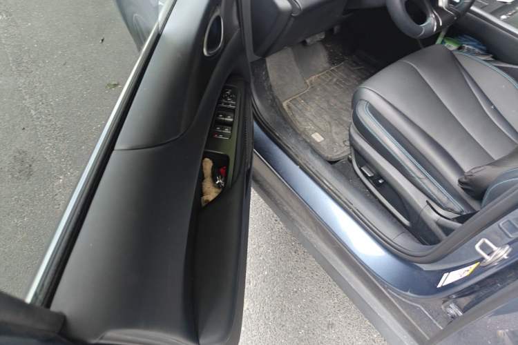 Used BYD Seal 06 New Energy 2025 EV 545KM Flagship Edition Driver Seat