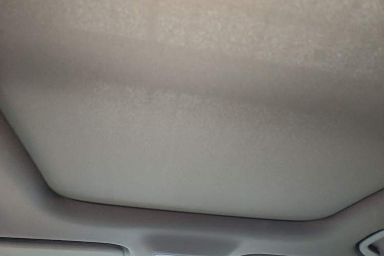 Used BYD Seal 06 New Energy 2025 EV 545KM Premium Edition Headliner