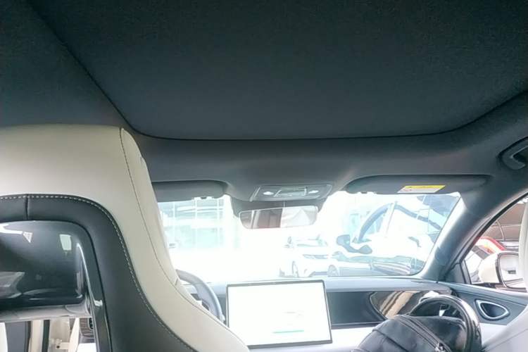 Used BYD Seal 06 New Energy 2025 EV 545KM Flagship Edition Headliner
