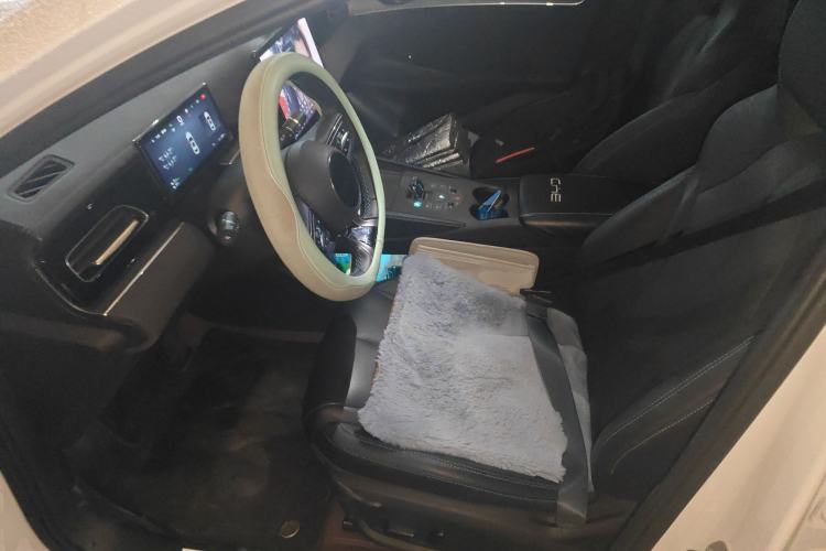 Used BYD Seal 06 New Energy 2025 DM-i Smart Drive 120KM Prestige Model Left Front Seat
