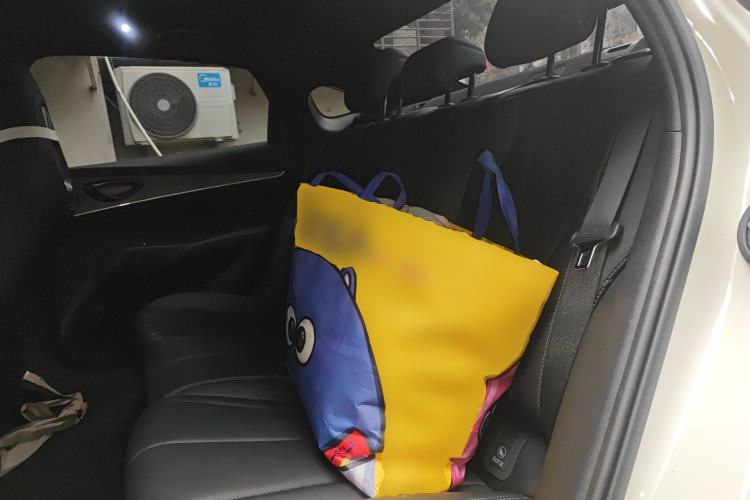 Used BYD Seal 06 New Energy 2025 DM-i Smart Drive 120KM Prestige Model Left Rear Seat