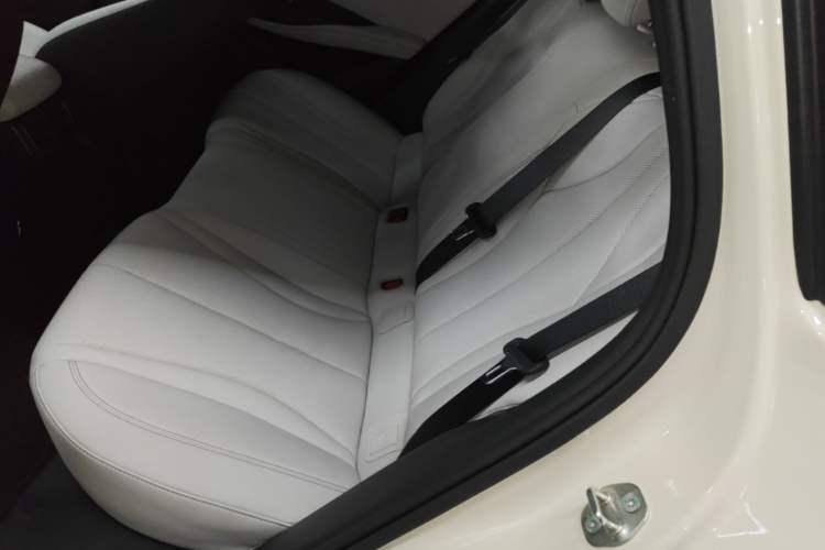 Used BYD Seal 06 New Energy 2025 DM-i Smart Drive 80KM Luxury Model Left Rear Seat