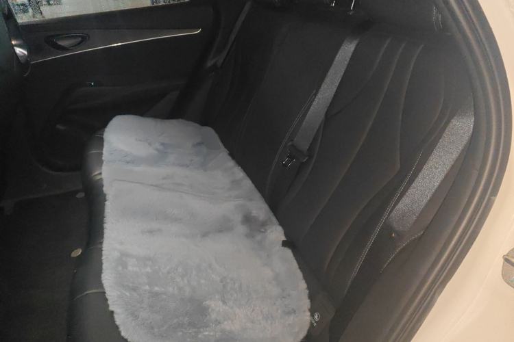 Used BYD Seal 06 New Energy 2025 DM-i Smart Drive 120KM Prestige Model Left Rear Seat