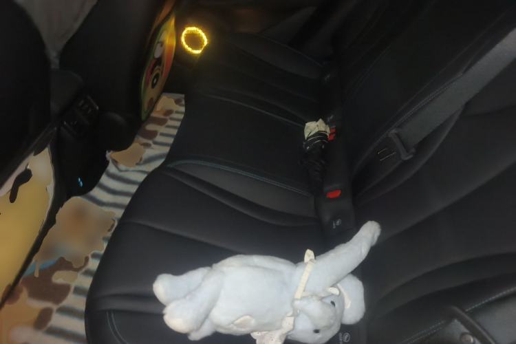 Used BYD Seal 06 New Energy 2025 DM-i Smart Drive 80KM Luxury Model Left Rear Seat