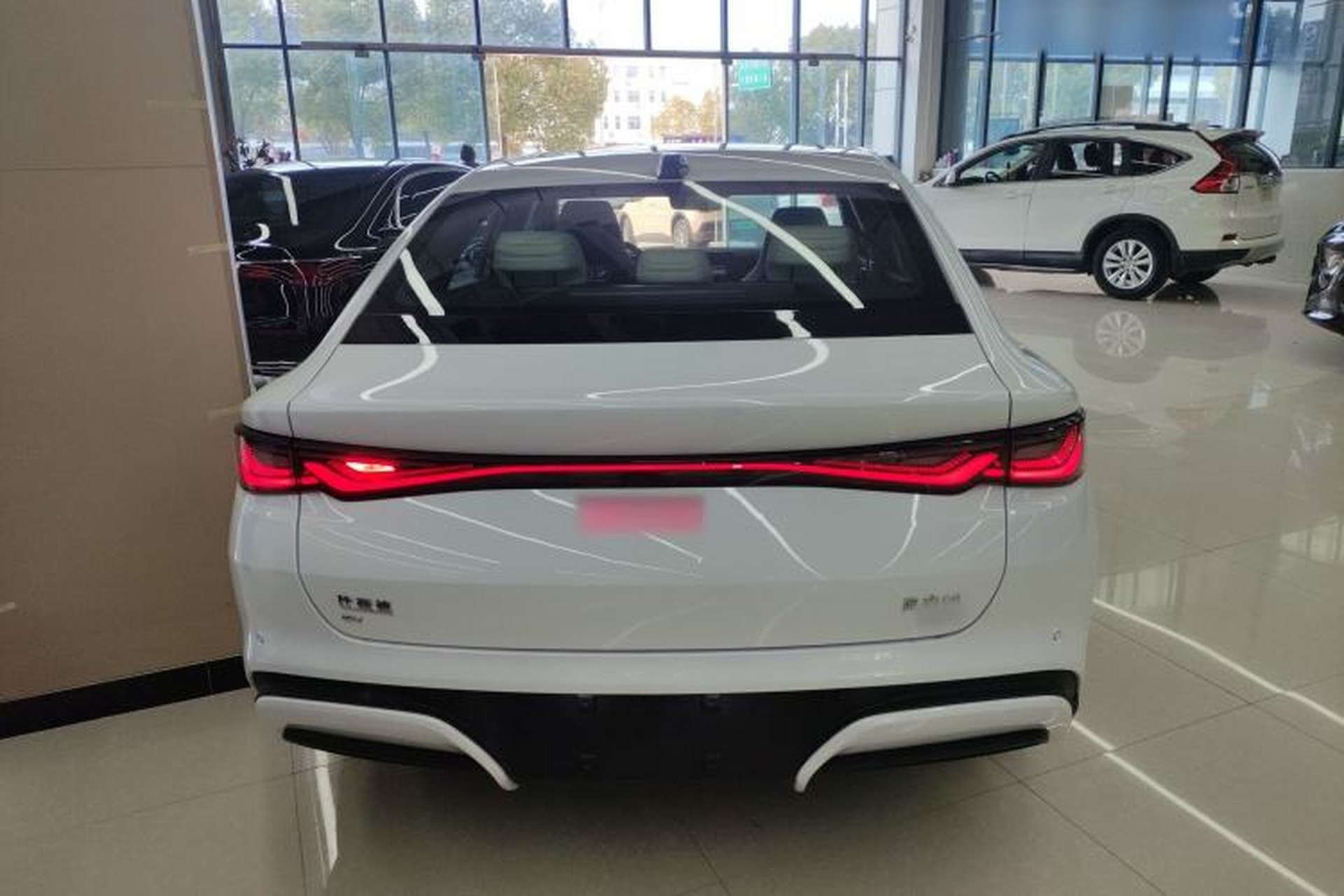 Used BYD Seal 06 New Energy 2025 EV 545KM Premium Edition Rear
