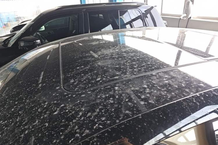 Used BYD Seal 06 New Energy 2025 EV 545KM Premium Edition Roof