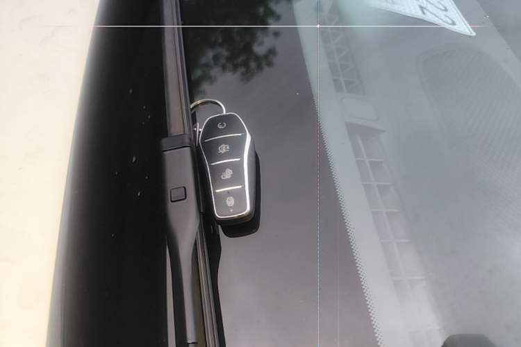Used BYD Seal 06 New Energy 2025 DM-i Smart Drive 120KM Deluxe Model Vehicle Key