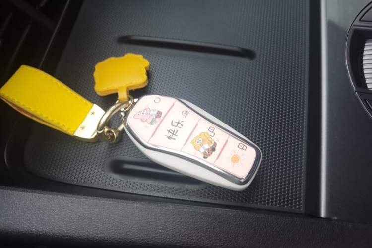 Used BYD Seal 06 New Energy 2025 DM-i Smart Drive 80KM Luxury Model Vehicle Key