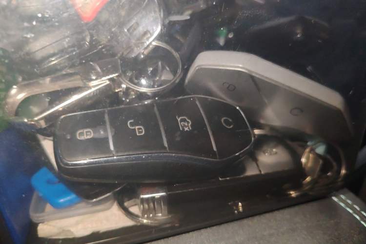 Used BYD Seal 06 New Energy 2025 DM-i Intelligent Drive 120KM Flagship Model Vehicle Key