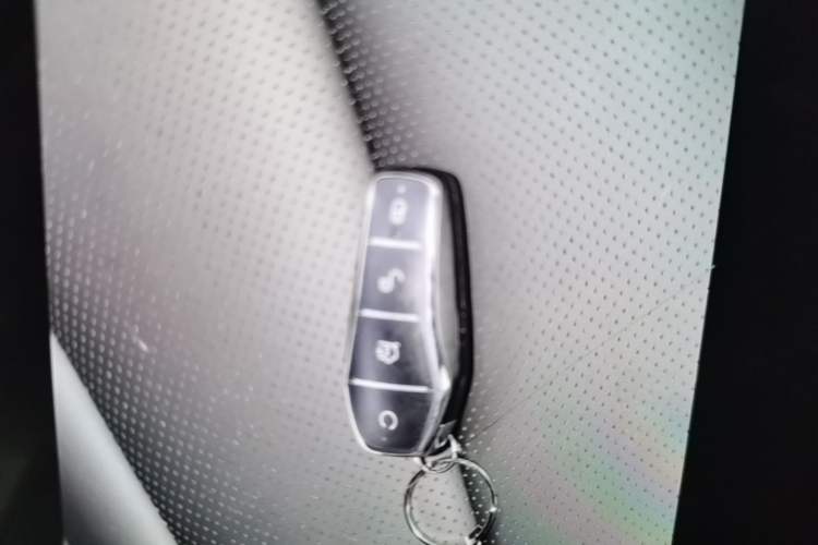 Used BYD Seal 06 New Energy 2025 DM-i Smart Drive 120KM Prestige Model Vehicle Key