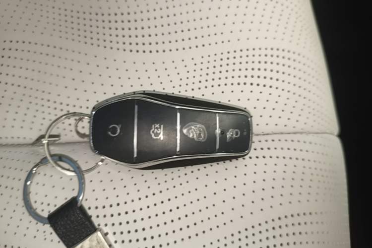 Used BYD Seal 06 New Energy 2025 DM-i Smart Drive 120KM Deluxe Model Vehicle Key