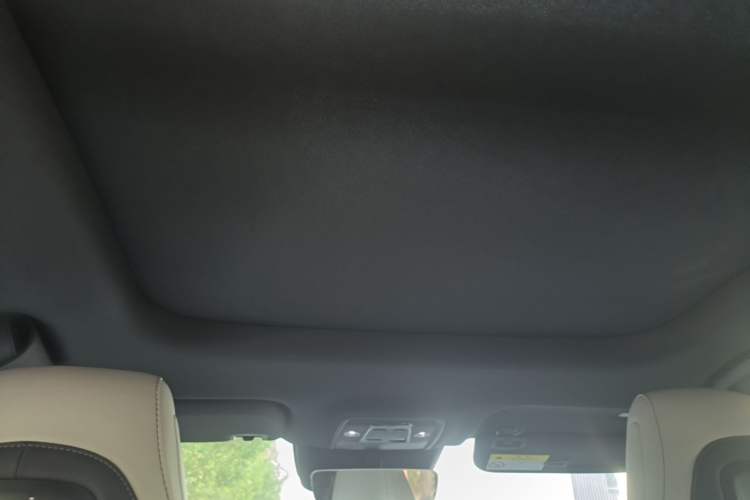 Used BYD Seal 06 New Energy 2025 DM-i Smart Drive 120KM Deluxe Model Headliner