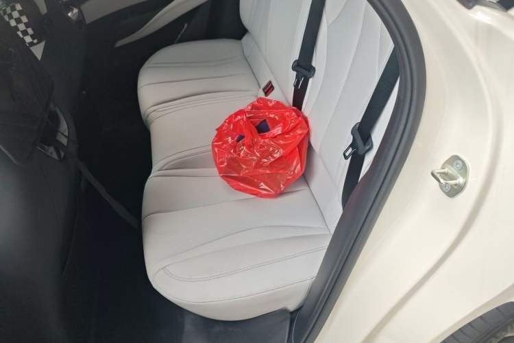 Used BYD Seal 06 New Energy 2025 DM-i Smart Drive 80KM Luxury Model Left Rear Seat