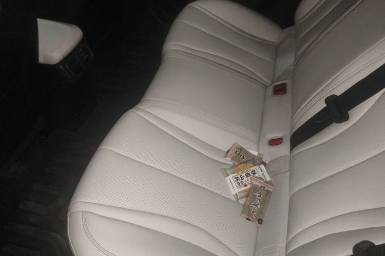 Used BYD Seal 06 New Energy 2025 DM-i Smart Drive 80KM Luxury Model Left Rear Seat