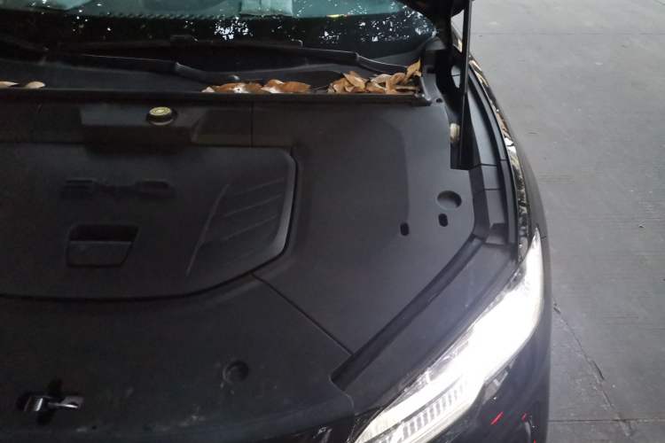 Used BYD Seal 06GT 2025 505 Wave Edition Engine Bay Left