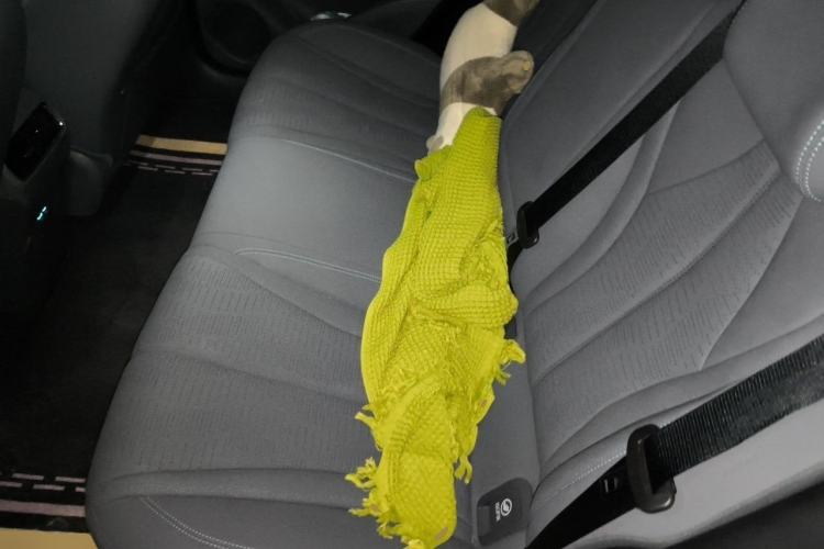 Used BYD Seal 06GT 2025 Intelligent Driving Version 505 Wave Plus Edition Left Rear Seat