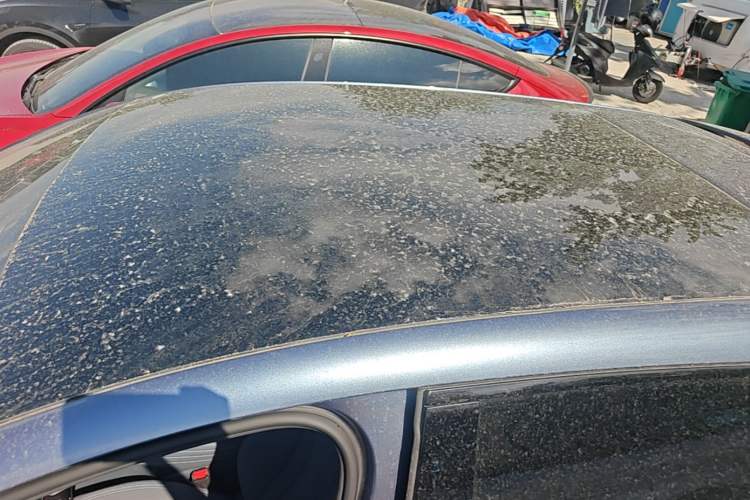 Used BYD Seal 06GT 2025 505 Wave Edition Roof