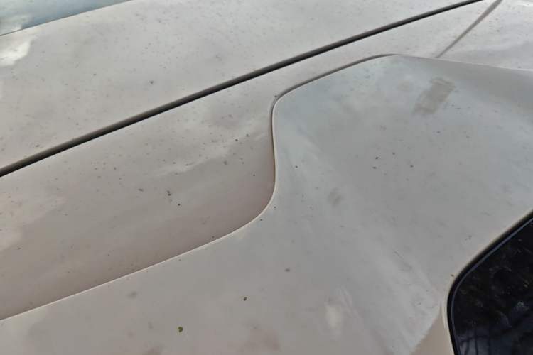 Used BYD Seal 06GT 2025 Intelligent Driving Version 605 Heatwave Edition Roof