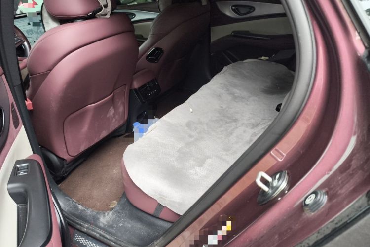 Used BYD Seal 07 DM-i 2025 Intelligent Driving Version DM-i 1.5T 125 km Range Flagship Edition Left Rear Seat