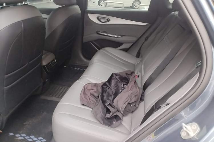 Used BYD Seal 07 DM-i 2025 DM-i 1.5L 125km Elite Model Left Rear Seat