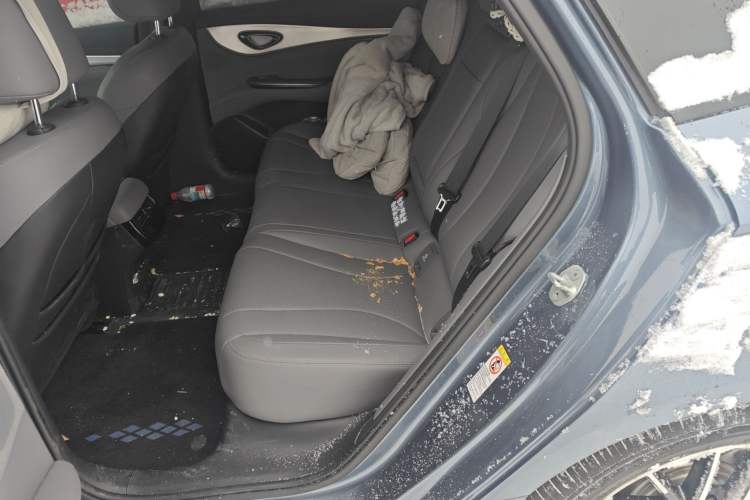 Used BYD Seal 07 DM-i 2025 DM-i 1.5L 125km Luxury Model Left Rear Seat